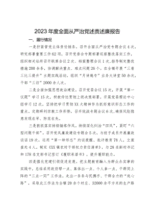 2023年度全面从严治党述责述廉报告.docx