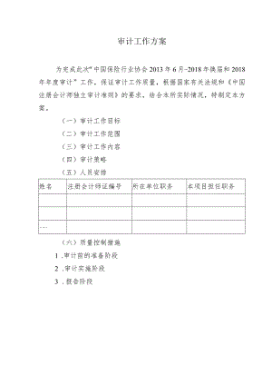 审计工作方案.docx