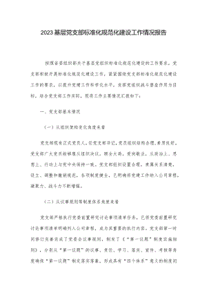 2023基层党支部标准化规范化建设工作情况报告.docx