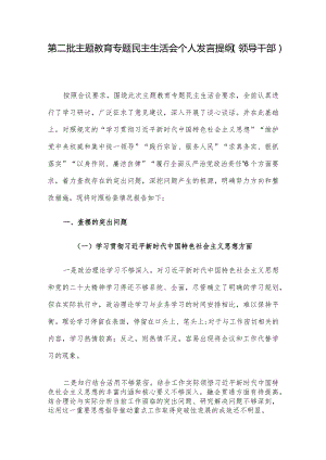 第二批主题教育专题民主生活会个人发言提纲（领导干部）.docx