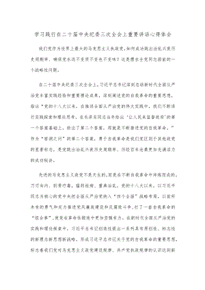 学习践行在二十届中央纪委三次全会上重要讲话心得体会.docx