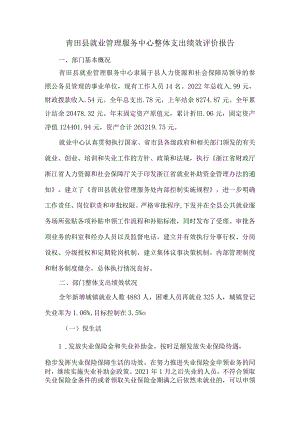 青田县就业管理服务中心整体支出绩效评价报告.docx
