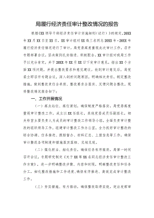 局履行经济责任审计整改情况的报告.docx