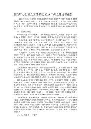 县政府办公室党支部书记2023年抓党建述职报告.docx