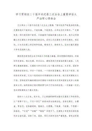 学习贯彻在二十届中央纪委三次全会上重要讲话从严治军心得体会.docx