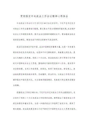 贯彻落实中央政法工作会议精神心得体会.docx