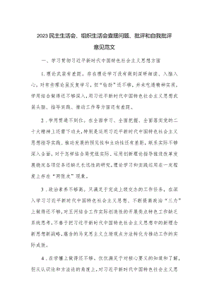 2023民主生活会、组织生活会查摆问题、批评和自我批评意见范文.docx