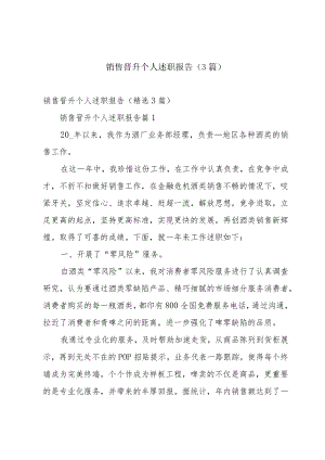 销售晋升个人述职报告（3篇）.docx