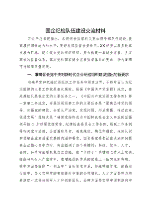 国企纪检队伍建设交流材料.docx