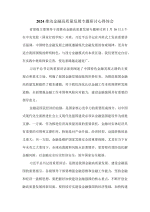 2024推动金融高质量发展专题研讨心得体会二.docx