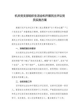 2024机关党支部组织生活会和开展民主评议党员实施方案.docx