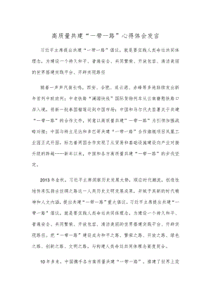 高质量共建“一带一路”心得体会发言.docx