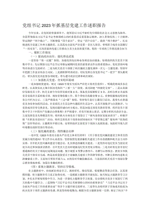 党组书记2023年抓基层党建工作述职报告.docx