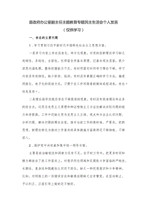 县政府办公室副主任主题教育专题民主生活会个人发言.docx