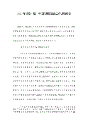 2023年党委（组）书记抓基层党建工作述职报告.docx