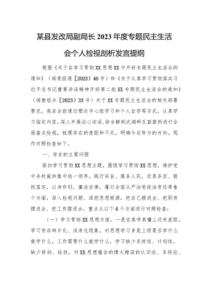 某县发改局副局长2023年度专题民主生活会个人检视剖析发言提纲.docx