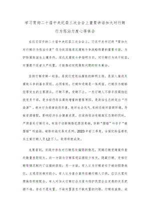 学习贯彻二十届中央纪委三次全会上重要讲话加大对行贿行为惩治力度心得体会.docx