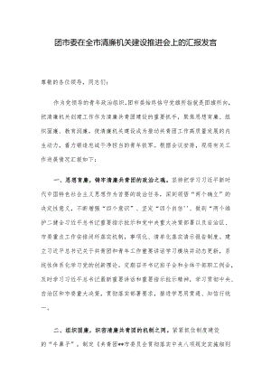 团市委在全市清廉机关建设推进会上的汇报发言.docx