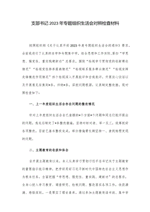 支部书记2023年专题组织生活会对照检查材料.docx