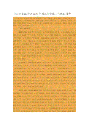 公司党支部书记2023年抓基层党建工作述职报告.docx