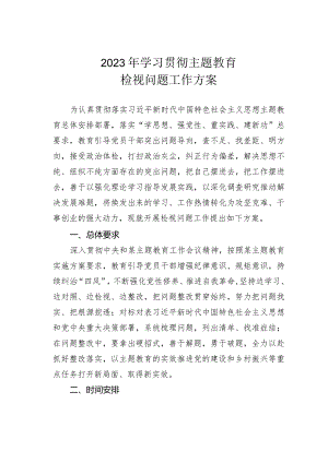 2023年学习贯彻主题教育检视问题工作方案.docx