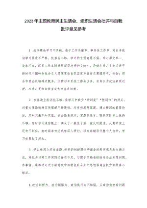 2023年主题教育民主生活会、组织生活会批评与自我批评意见参考.docx