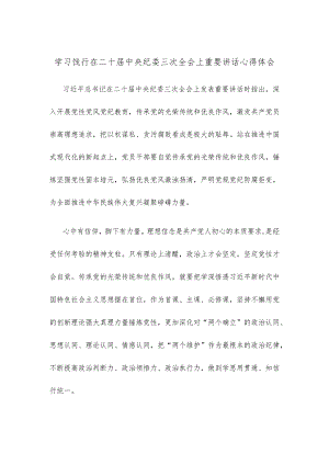 学习饯行在二十届中央纪委三次全会上重要讲话心得体会.docx