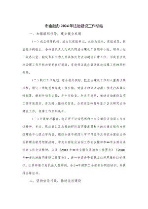 市金融办2024年法治建设工作总结.docx