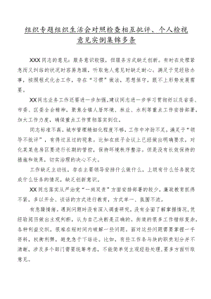组织专题组织生活会对照检查相互批评、个人检视意见实例集锦多条.docx
