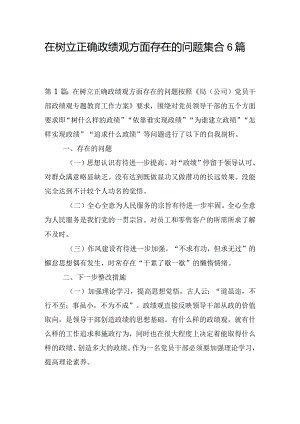 在树立正确政绩观方面存在的问题集合6篇.docx