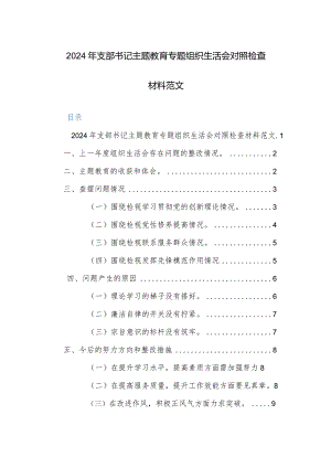2024年支部书记主题教育专题组织生活会“新四个方面”对照检查材料范文两篇.docx