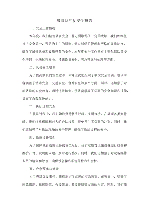 城管队年度安全报告.docx