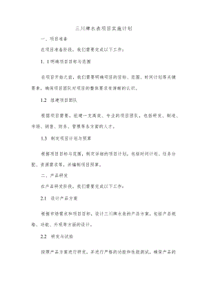 三川牌水表项目的实施计划.docx