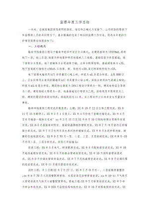 监理年度工作总结完整精选范文.docx