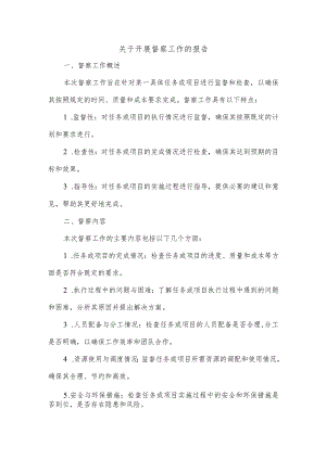 关于开展督察工作的报告.docx