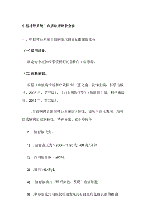 中枢神经系统白血病临床路径全套.docx