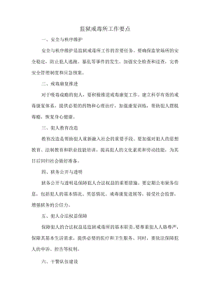 监狱戒毒所工作要点.docx