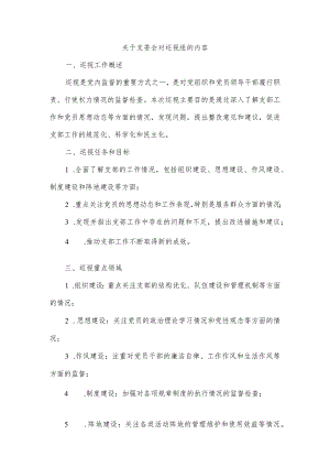写一篇支委会对巡视组的内容.docx