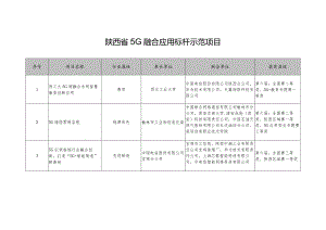 陕西省5G融合应用标杆示范项目.docx