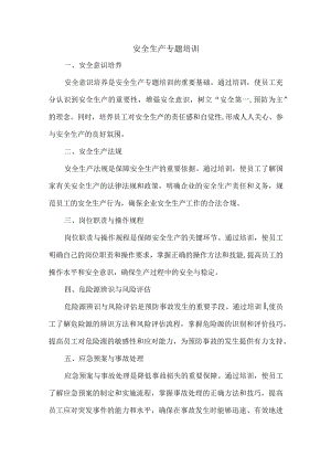 安全生产专题培训.docx