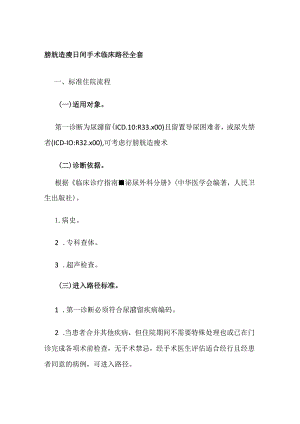 膀胱造瘘日间手术临床路径全套.docx