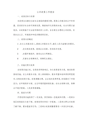 公共政策工作报告.docx