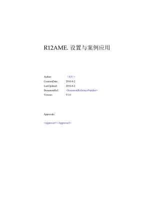 R12AME设置与案例应用.docx