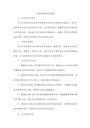 专项训练实训报告.docx