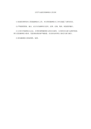 【精选】分管安全副经理森林防火责任制精选.docx
