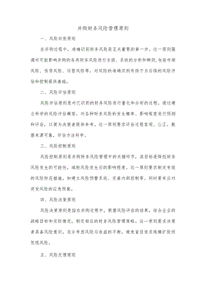 并购财务风险管理原则.docx