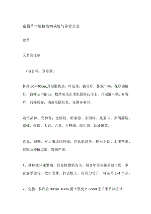 宿根草本地被植物栽培与养管全套.docx