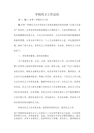 学校巩卫工作总结.docx