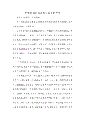 在党员示范岗命名仪式上的发言.docx