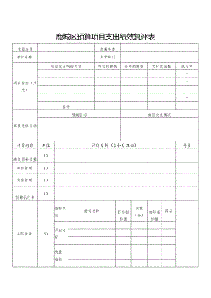 鹿城区预算项目支出绩效复评表.docx